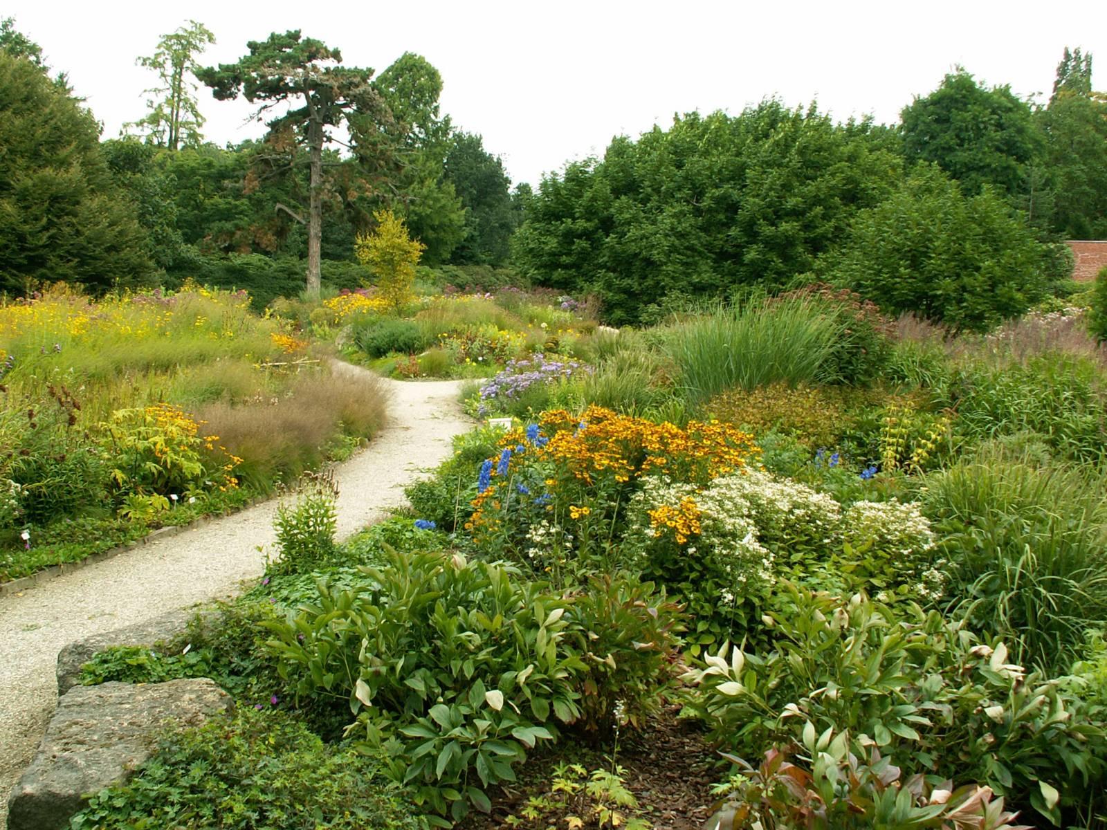 Präriegarten