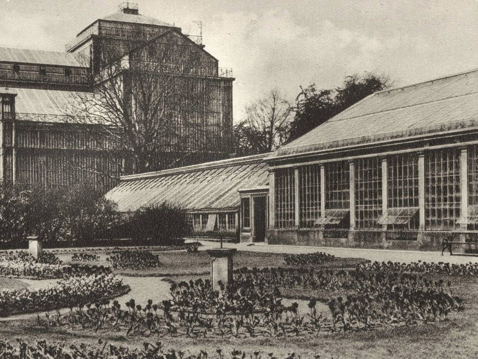 Blick auf das Große Palmenhaus