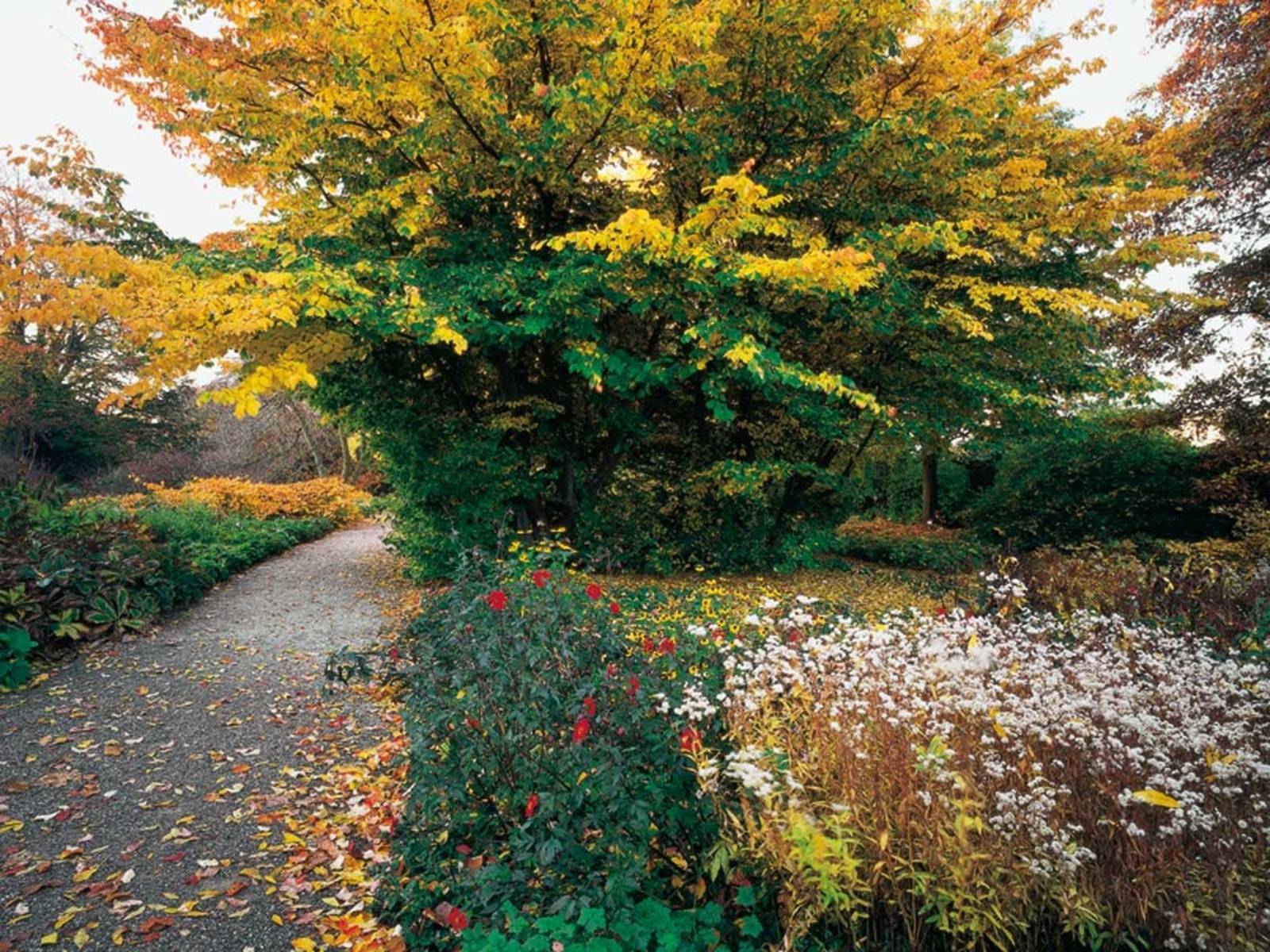 Herbst im Berggarten