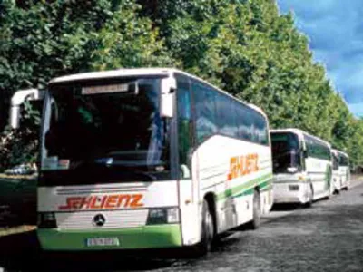 Bus