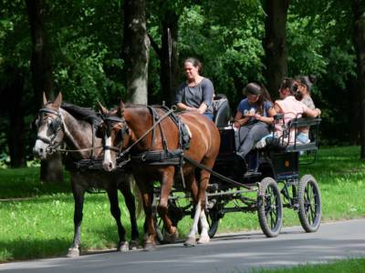 Kutsche im Georgengarten