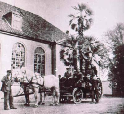 Palmenwagen