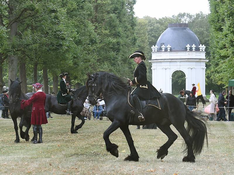 Reiterinnen und Pferde im Großen Garten