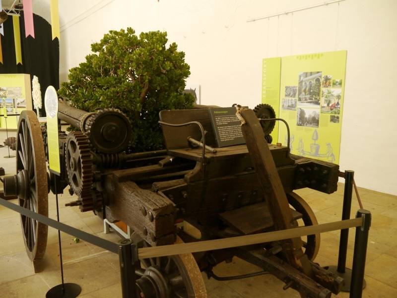 Palmenwagen in der Orangerie