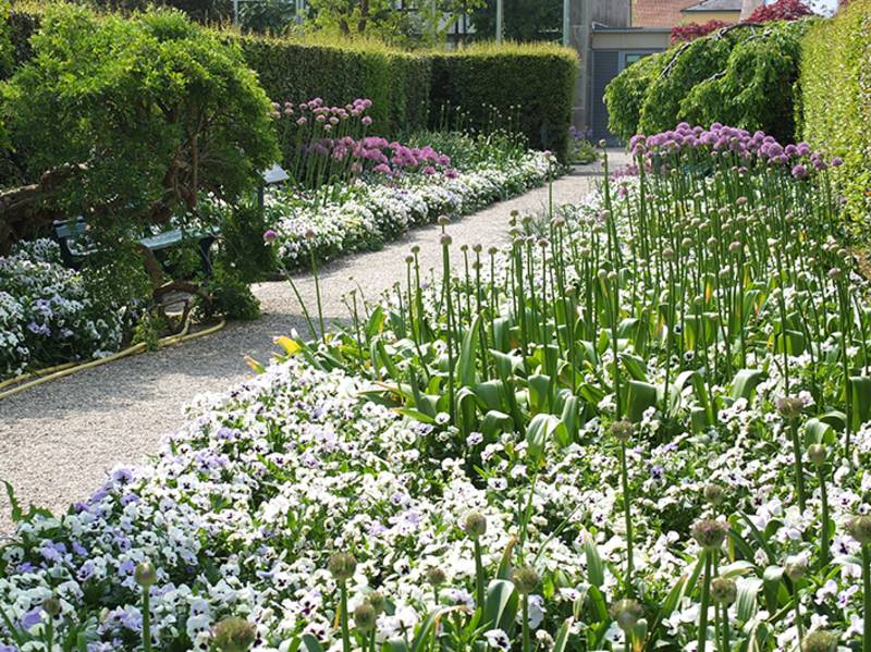 Sortenschau im Blumengang