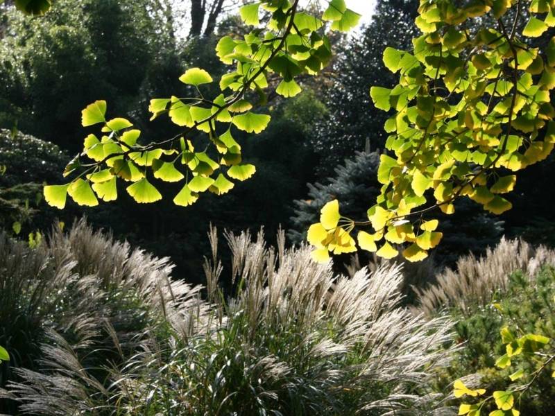 Herbststimmung im Berggarten