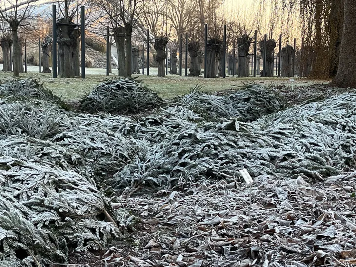 Winterschutz