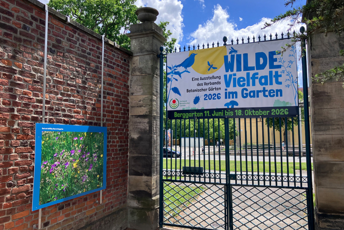 Ausstellung Wilde Vielfalt