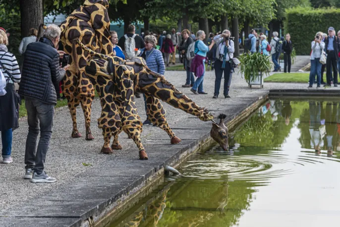 Stelzen-Giraffen am Schwanenteich