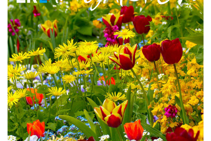 Im Garten 1/2024