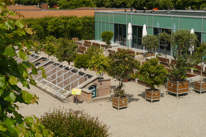 Feigengarten an der Schlossküche