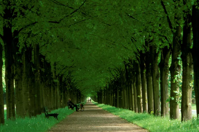 Herrenhäuser Allee