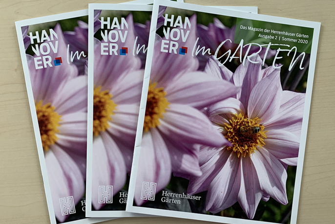 Im Garten 2/2020 Teaserbild 