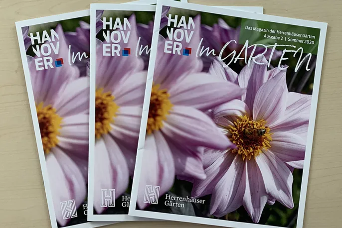Im Garten 2/2020 Teaserbild 