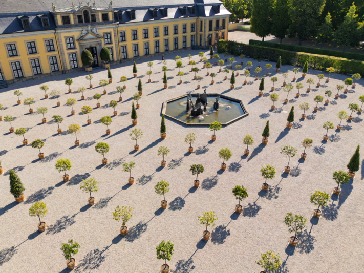 Orangenplatz Juni 2025