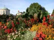 Schmuckhof im Sommer