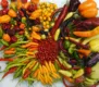 Chili-Vielfalt