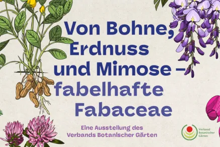 Ausstellungsplakat