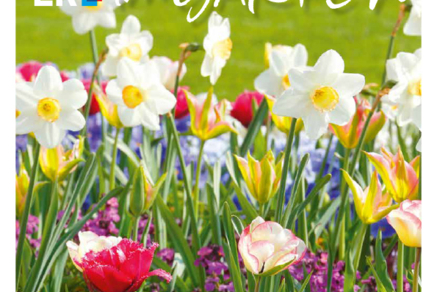 Titel Im Garten