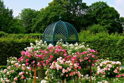 Rosengarten