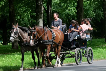 Kutsche im Georgengarten