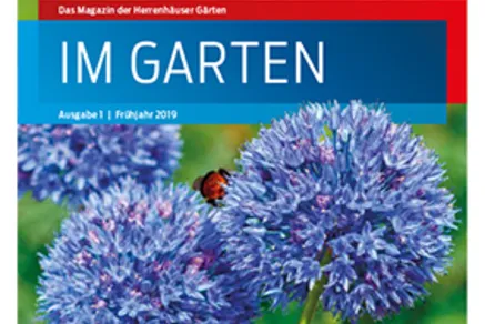 Titelseite Im Garten