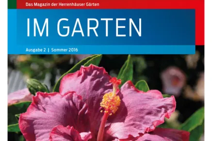 Titel der Sommerausgabe