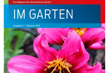 Im Garten 2/2019