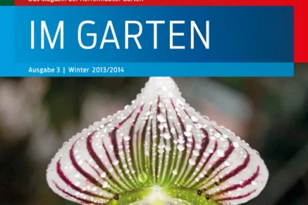 Im Garten 3/2013