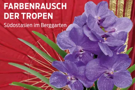 Ausstellungsmotiv