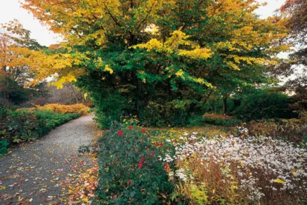 Herbst im Berggarten