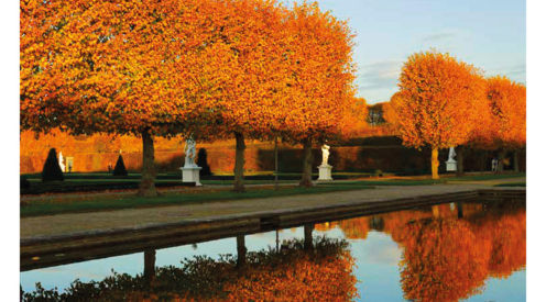 Titelseite Herbst/Winter