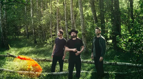 Mighty Oaks