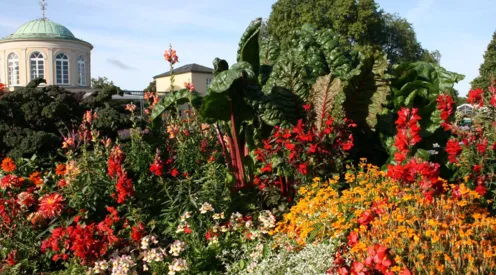 Schmuckhof im Sommer