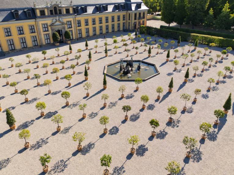 Orangenplatz Juni 2025