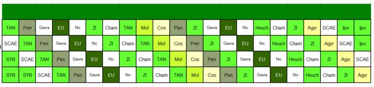 Pflanzschema