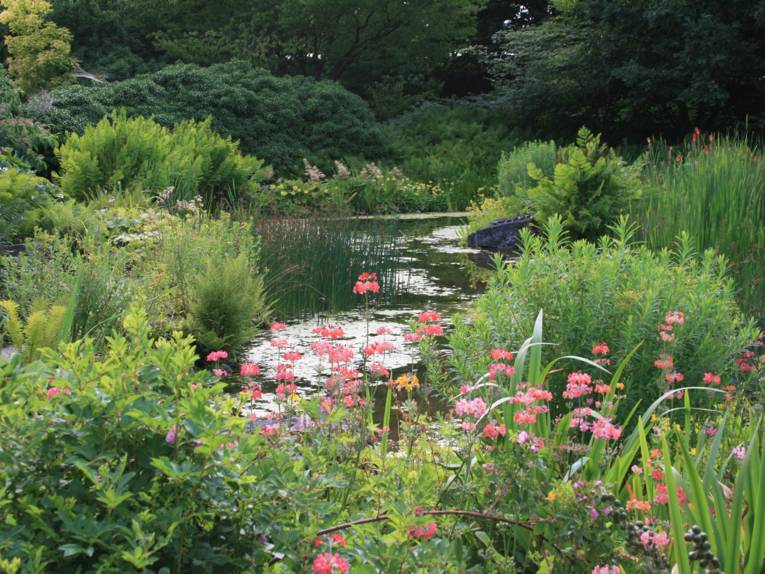 Der Staudengrund im Berggartem