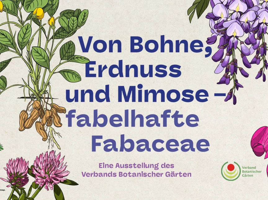 Ausstellungsplakat