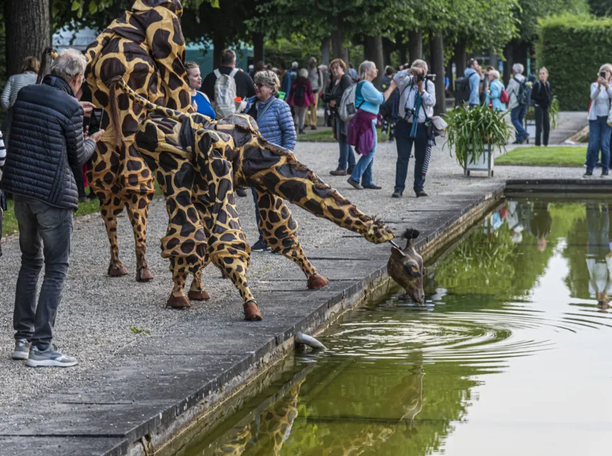 Stelzen-Giraffen am Schwanenteich