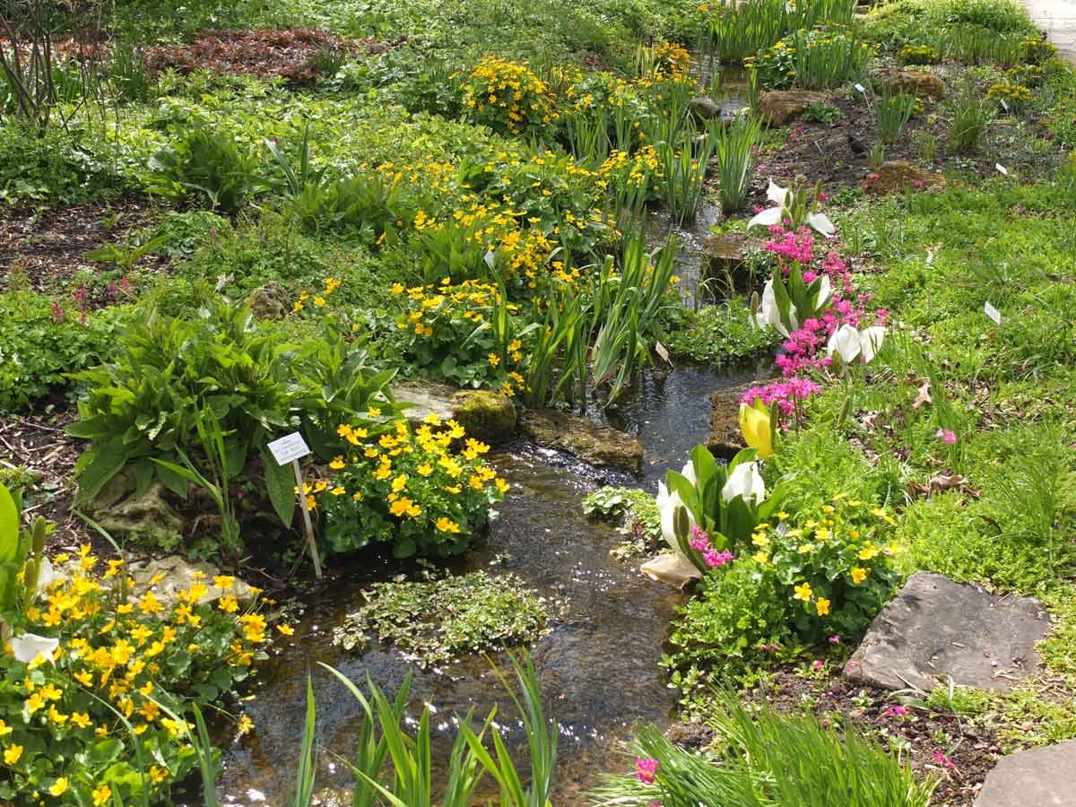 Bachlauf im Berggarten
